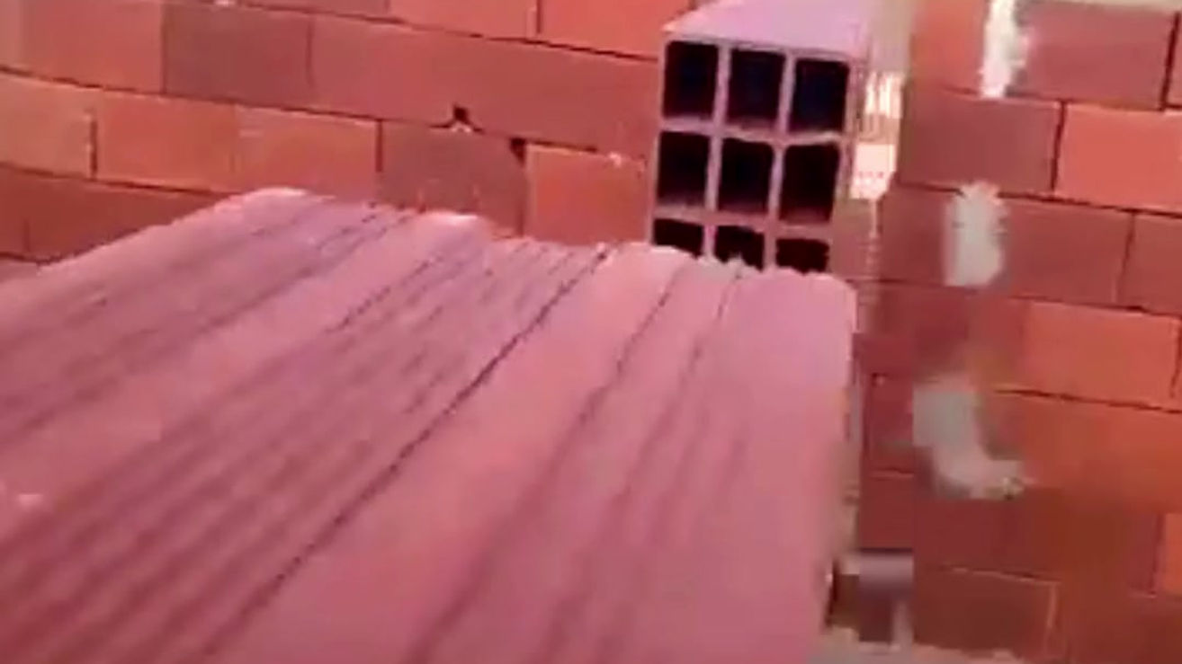 Construtor satisfeito